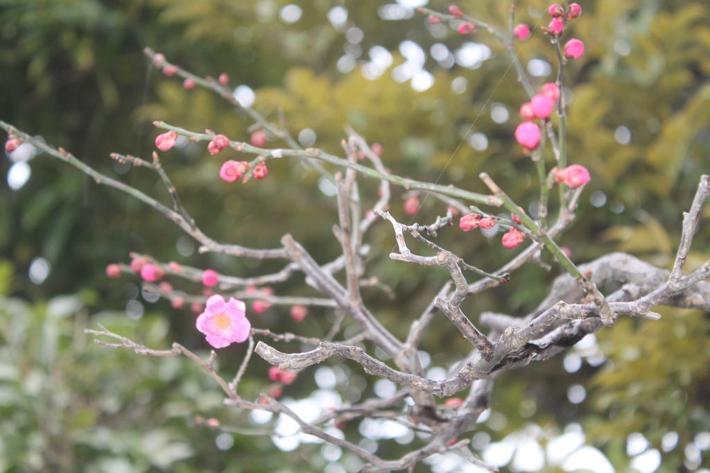Hotel Kinugawa Onsen Sanraku Nikko Exteriér fotografie