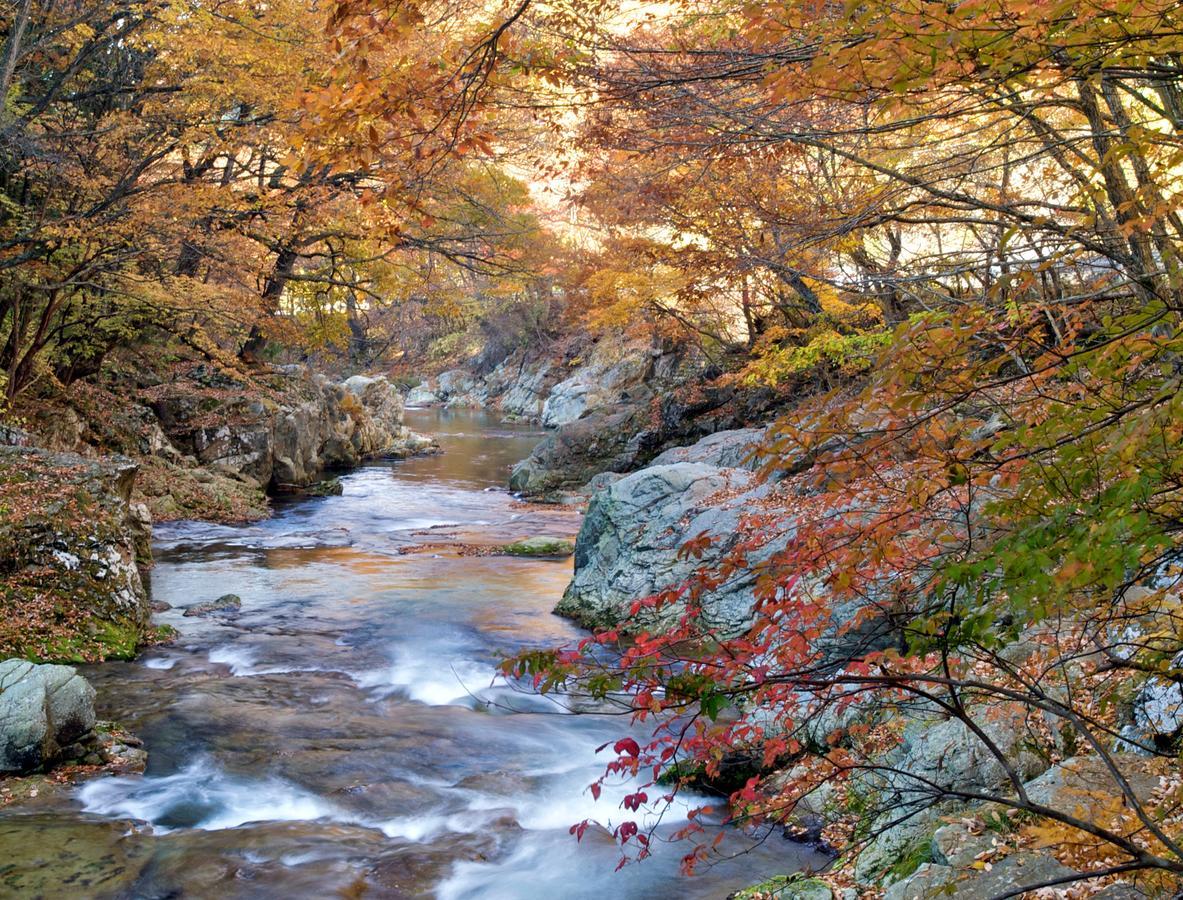 Hotel Kinugawa Onsen Sanraku Nikko Exteriér fotografie